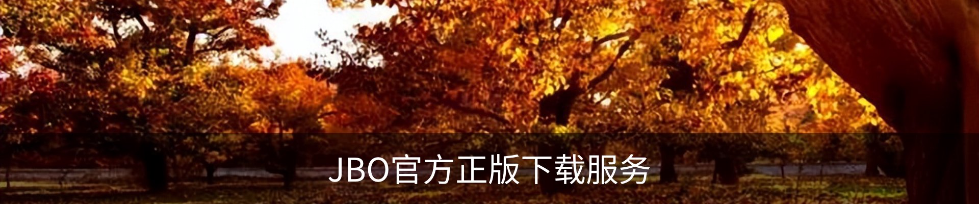 JBO官方正版下载服务